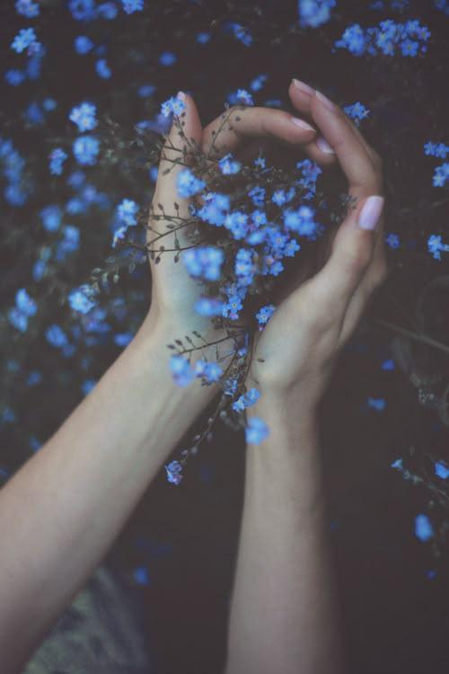 Eternal Embrace: Timeless Blossom Array